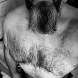 bearded_bod from onlyfans