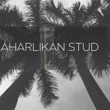 maharlikanstud from onlyfans