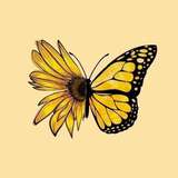 gisra_8 from onlyfans